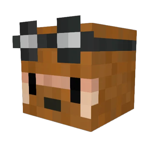 wimtermute Minecraft avatar head, 3D render