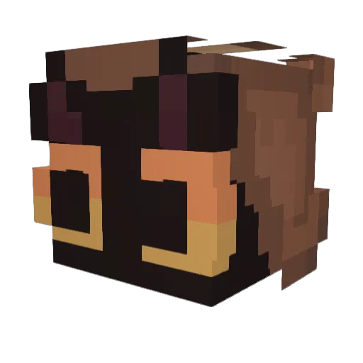 winPro556 Minecraft avatar head, 3D render