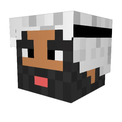 winchester357 Minecraft avatar head, 3D render