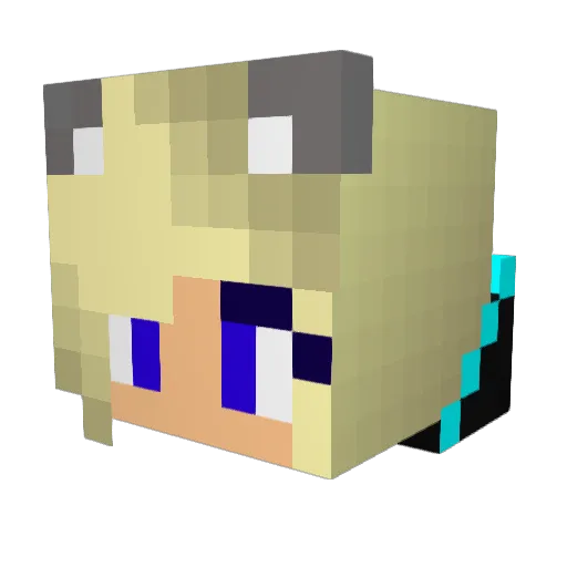 winchestertx Minecraft avatar head, 3D render
