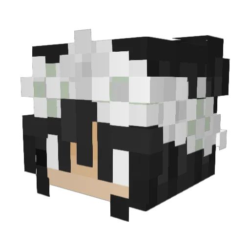 winck20010 Minecraft avatar head, 3D render