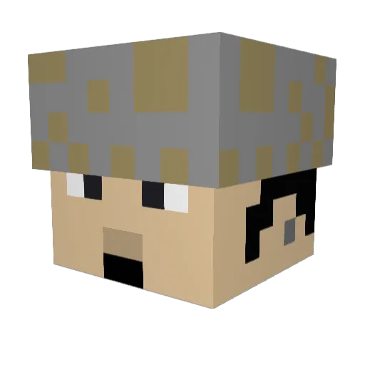 wind0rider Minecraft avatar head, 3D render