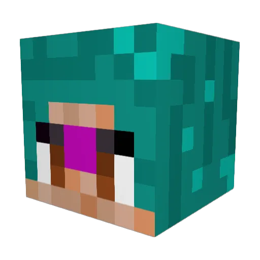 wind3rs Minecraft avatar head, 3D render