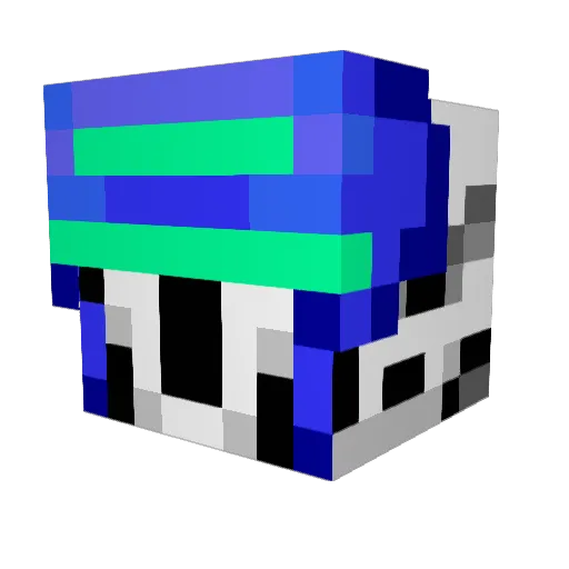 windam1825 Minecraft avatar head, 3D render