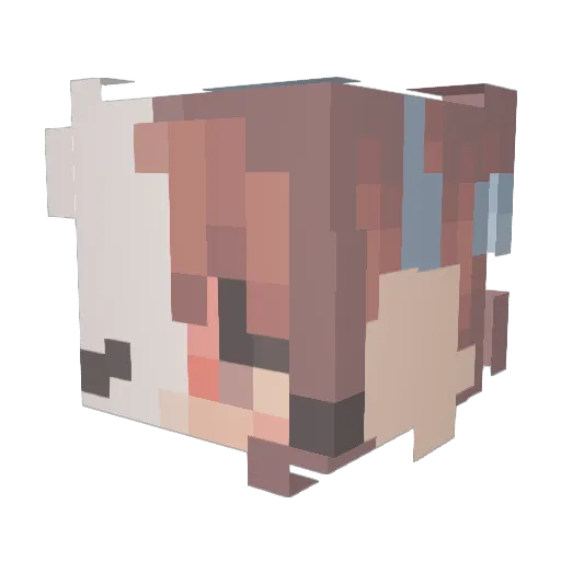 windel107 Minecraft avatar head, 3D render