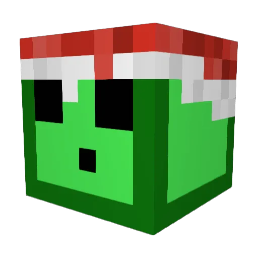 windelbombeer1 Minecraft avatar head, 3D render