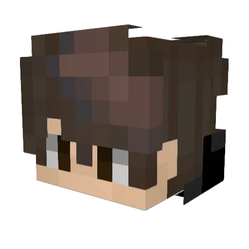 windofspin Minecraft avatar head, 3D render