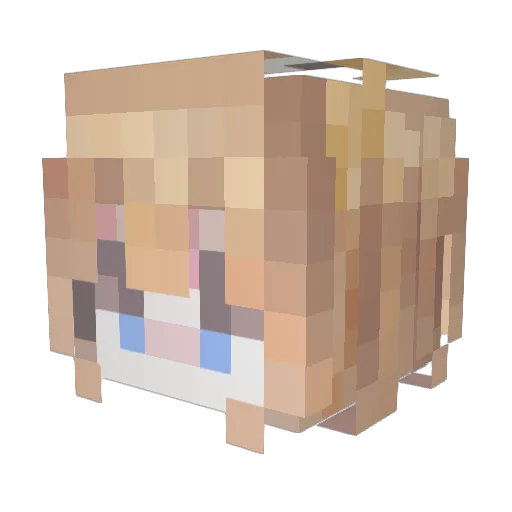 winds Minecraft avatar head, 3D render