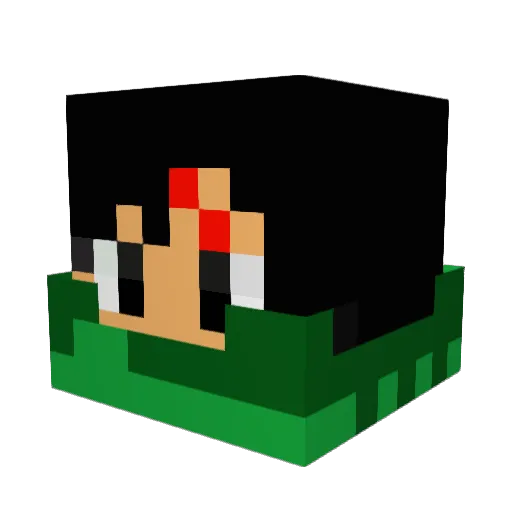 windwaker14 Minecraft avatar head, 3D render