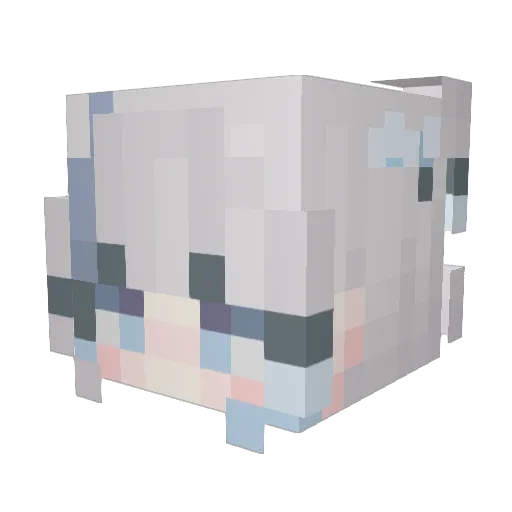 windy_qwq Minecraft avatar head, 3D render