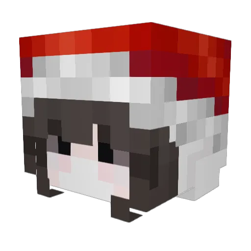 wingball Minecraft avatar head, 3D render