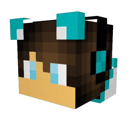 wingblade123 Minecraft avatar head, 3D render