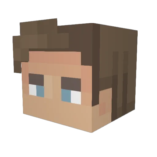 winiallwas Minecraft avatar head, 3D render