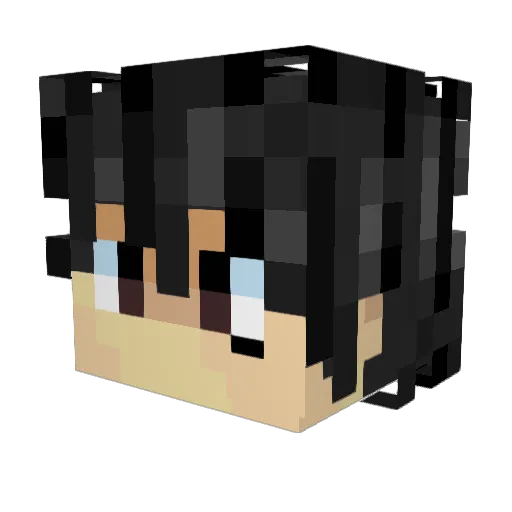 wink_sluizeman Minecraft avatar head, 3D render