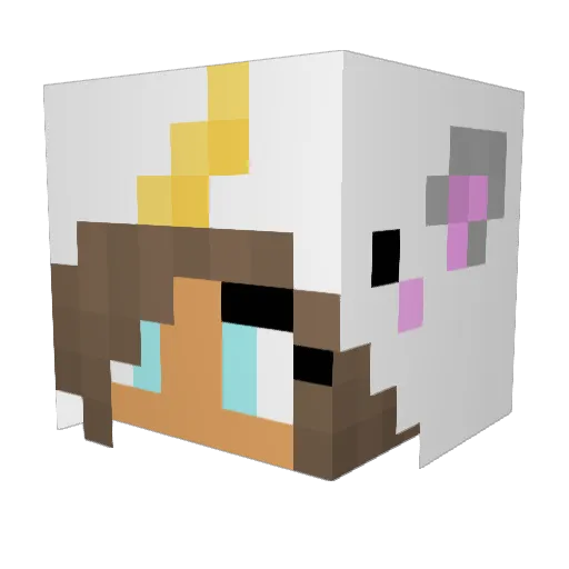 winkiepoo Minecraft avatar head, 3D render