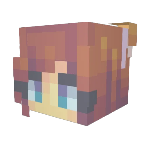 winnereatsdinner Minecraft avatar head, 3D render