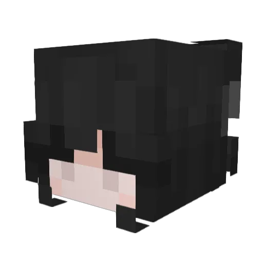 winnertakes1tall Minecraft avatar head, 3D render
