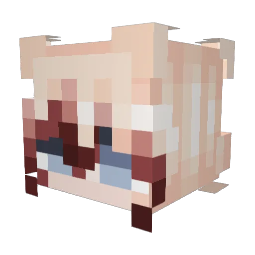 winngibberish Minecraft avatar head, 3D render