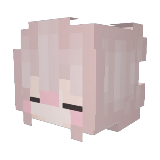 winnie_EMM Minecraft avatar head, 3D render