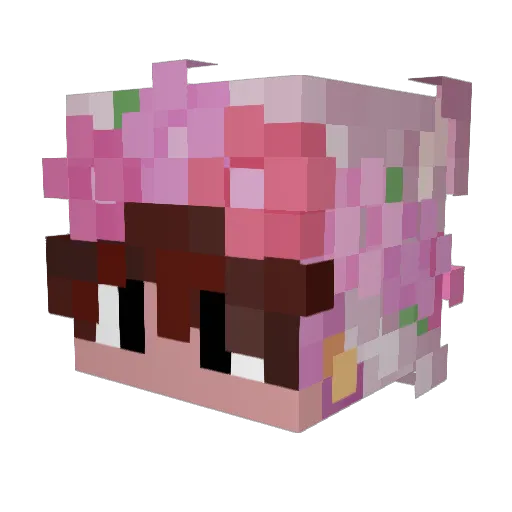 winnie_to_es Minecraft avatar head, 3D render