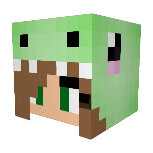winniethebear25 Minecraft avatar head, 3D render