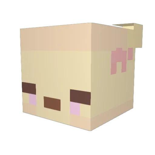 winnwinn Minecraft avatar head, 3D render