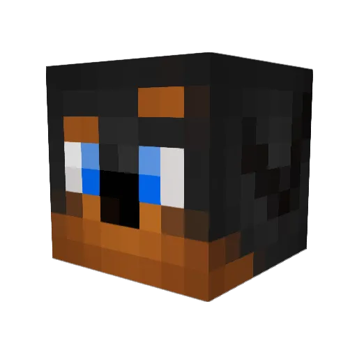 winstonb5 Minecraft avatar head, 3D render