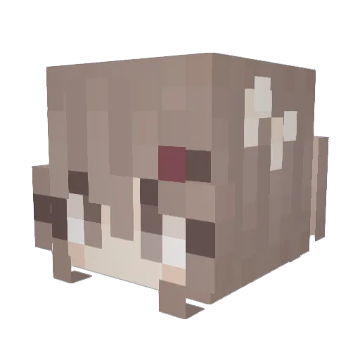 wint3r Minecraft avatar head, 3D render