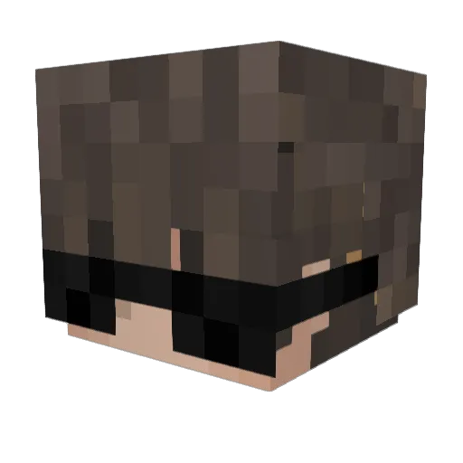 wint3rr_ Minecraft avatar head, 3D render