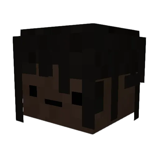 winteer216 Minecraft avatar head, 3D render