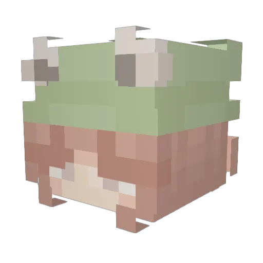 winter2540 Minecraft avatar head, 3D render
