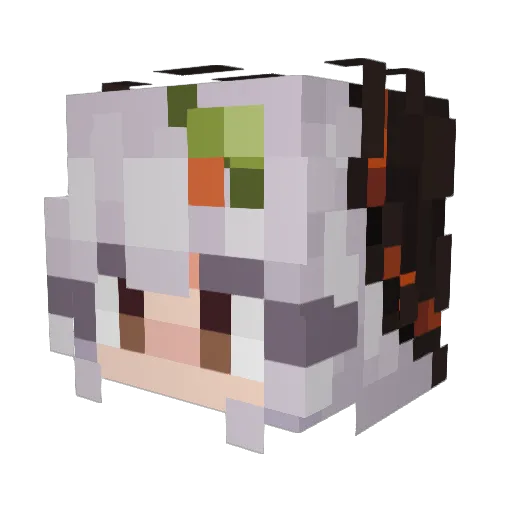 winter_gio Minecraft avatar head, 3D render