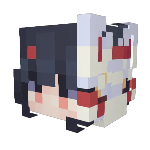 winteranyday Minecraft avatar head, 3D render