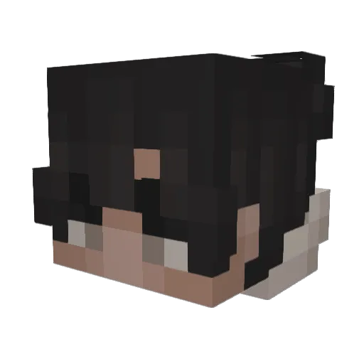 winterauraa Minecraft avatar head, 3D render