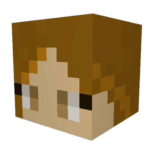 winterbabyyyy Minecraft avatar head, 3D render
