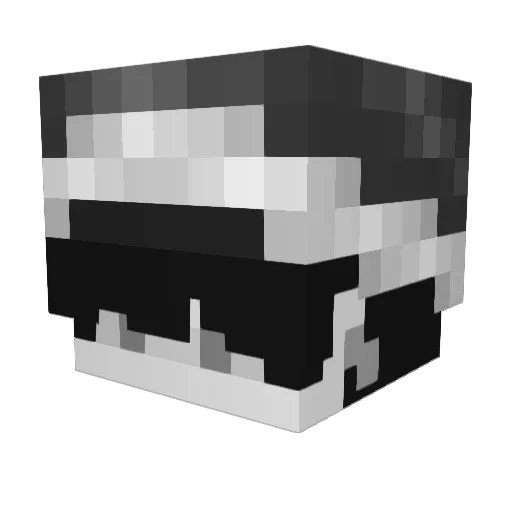 wintereveryday Minecraft avatar head, 3D render