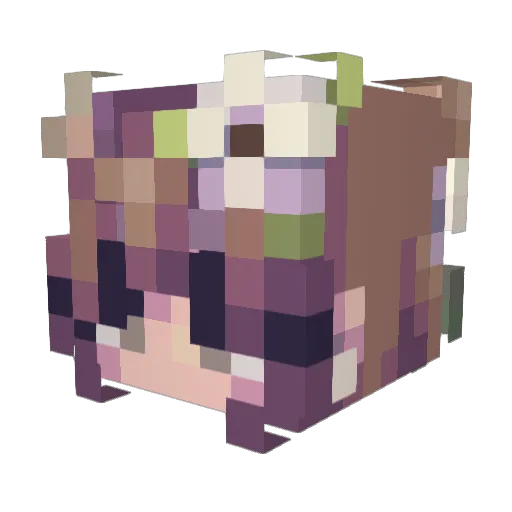 winterfallsstay Minecraft avatar head, 3D render