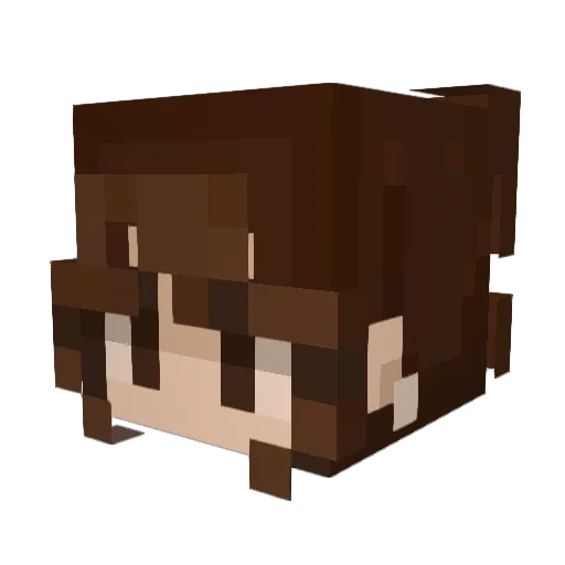 winterisol Minecraft avatar head, 3D render