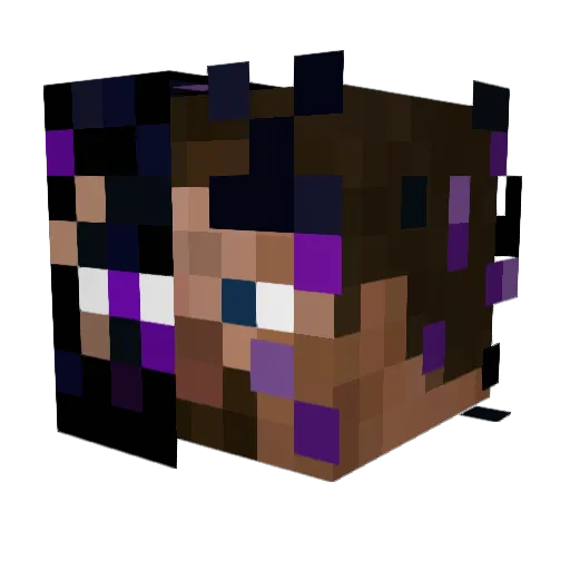 winterled Minecraft avatar head, 3D render