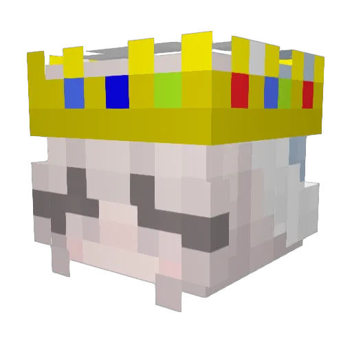 winters8 Minecraft avatar head, 3D render