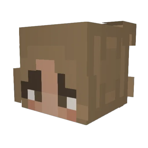 wintervxbes Minecraft avatar head, 3D render