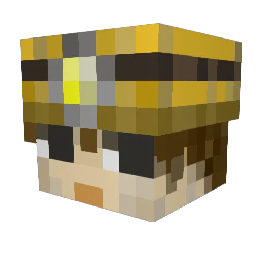 winterwelon Minecraft avatar head, 3D render