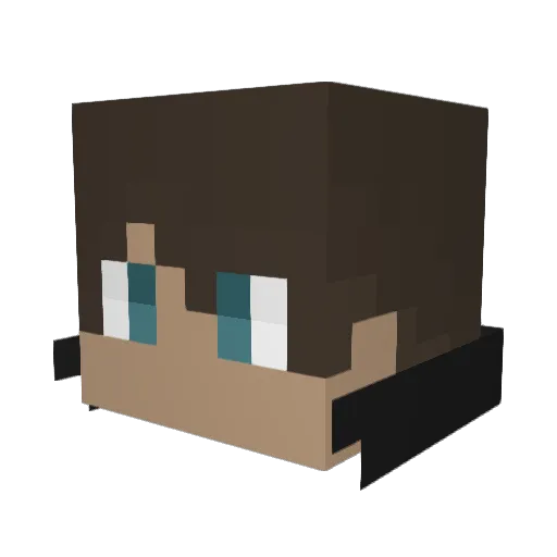 winterx711 Minecraft avatar head, 3D render