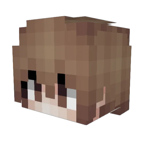 winterytimes Minecraft avatar head, 3D render