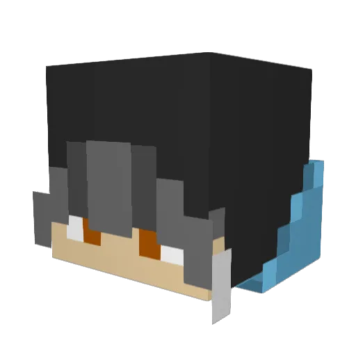wintr77 Minecraft avatar head, 3D render