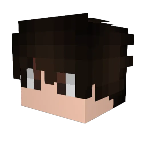 wintrland Minecraft avatar head, 3D render