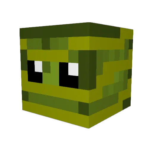 wintrmelone Minecraft avatar head, 3D render
