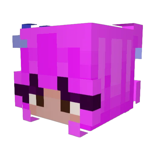 wintrysum Minecraft avatar head, 3D render