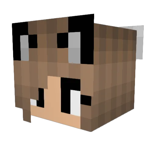 winwin2 Minecraft avatar head, 3D render