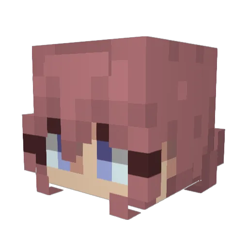 wipppe Minecraft avatar head, 3D render